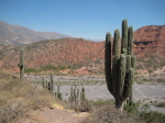 Salta_Cachi nach Cafayate (2)