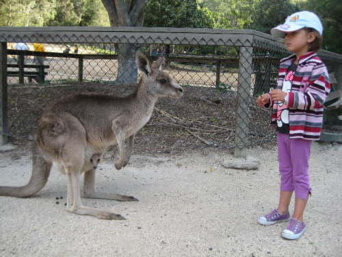 Tierpark 02
