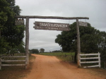 Transpantaneira
