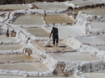 Urubamba_Salinen_Moray 26