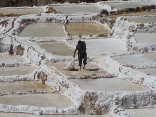 Urubamba_Salinen_Moray 26