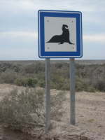 Valdes_Punta Norte