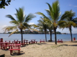 Vitoria Beach Palmen