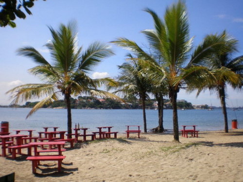 Vitoria Beach Palmen