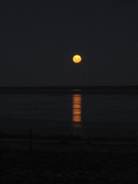 Vollmond
